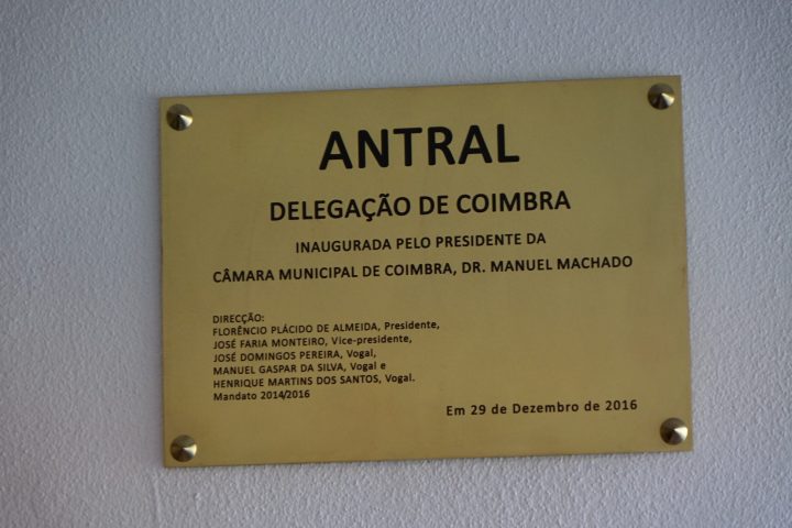 sede antral 70 Custom